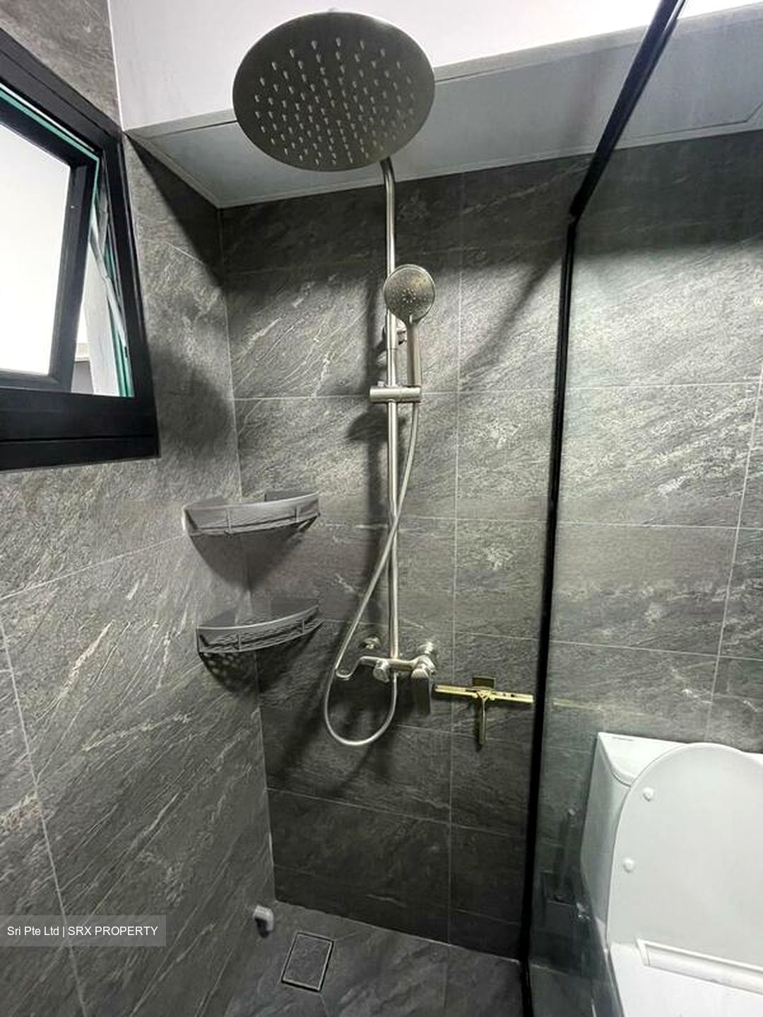 Blk 461 Choa Chu Kang Avenue 4 (Choa Chu Kang), HDB Executive #496715041